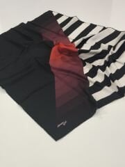 ARMİNE SPORT POLYESTER TİVİL EŞARP 6454-02