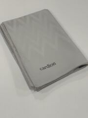 CARDİON JAKARLI ŞAL ZİGZAG DESEN AÇIK TAŞ