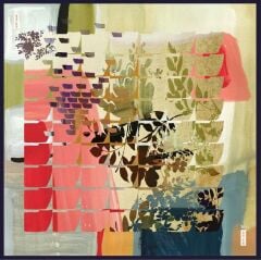 PİERRE CARDİN  SURA İPEK EŞARP 9107-321