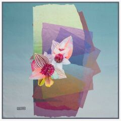 AKER SPORT TİVİL EŞARP 7126-951