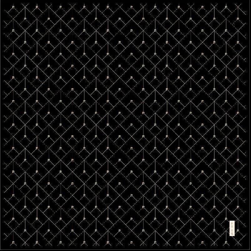 PİERRE CARDİN  SURA İPEK EŞARP 9097-311