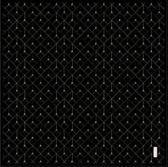 PİERRE CARDİN  SURA İPEK EŞARP 9097-311