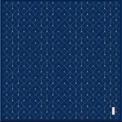 PİERRE CARDİN  SURA İPEK EŞARP 9097-321